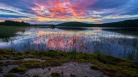 New indicator on pesticides in European waters